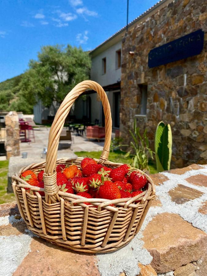 Bed and Breakfast Casa Voltegira Manso Exterior foto